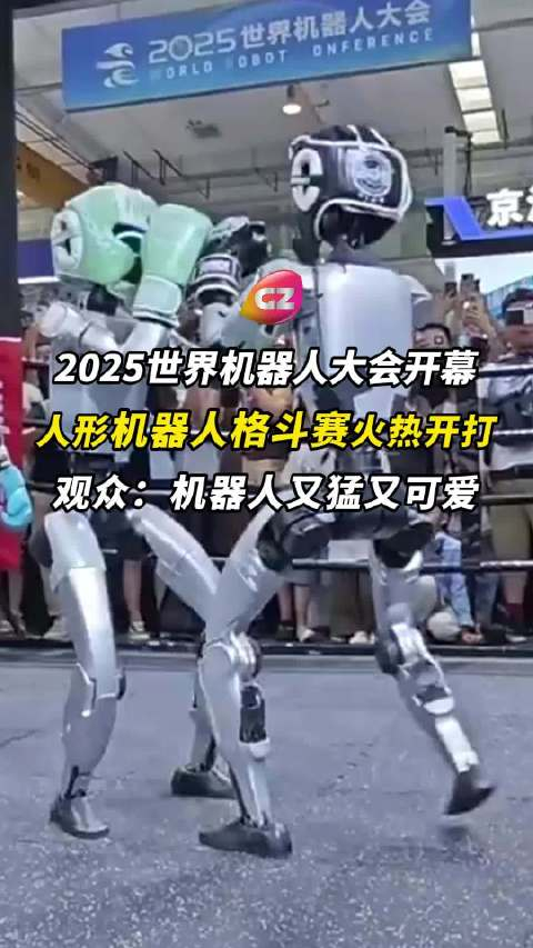 开云下载-SHR翻盘KT，Caps极限生还后反打强强对话2025世界赛，留下经典瞬间的简单介绍