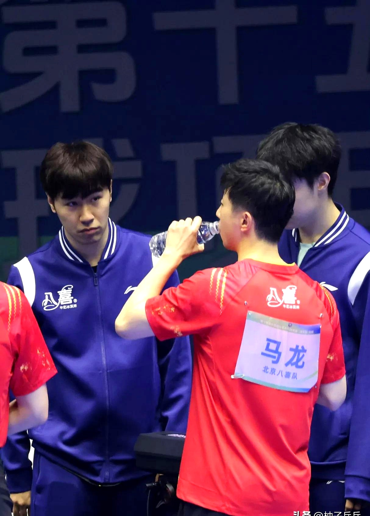 日本队逆转韩国队，马龙状态火热